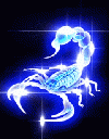 Scorpion 7